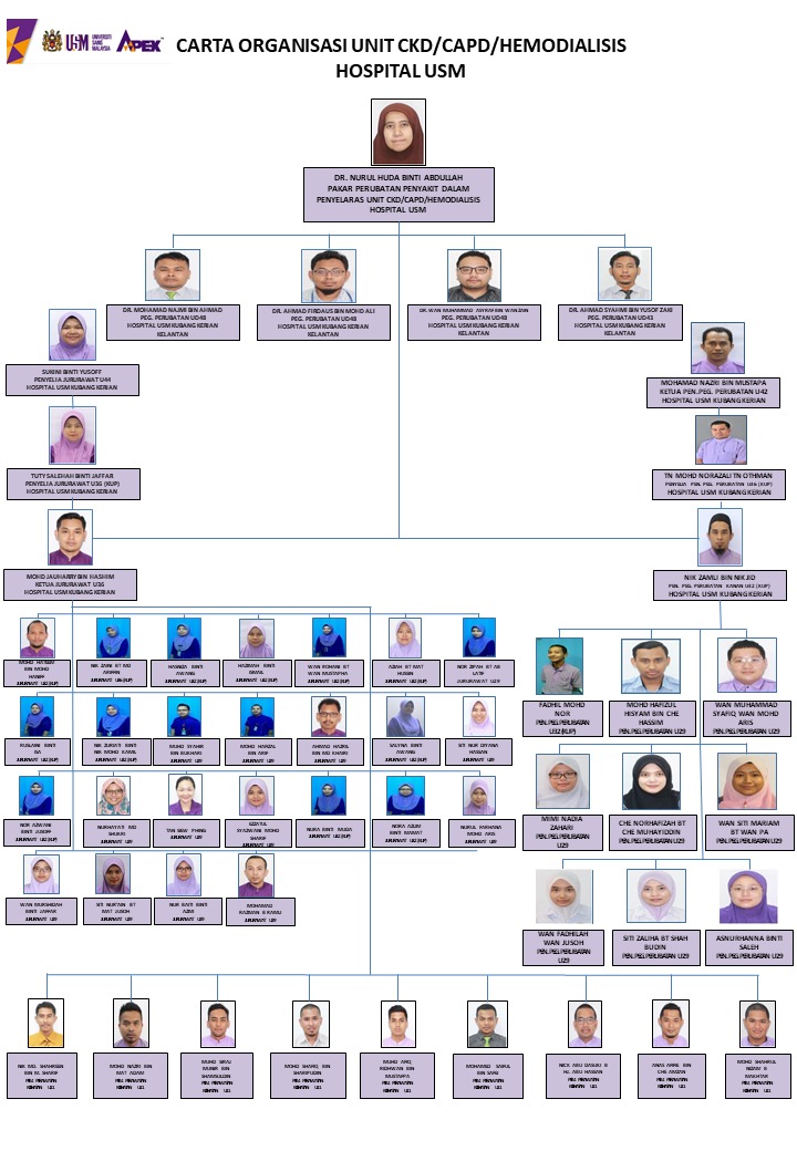 Carta Organisasi Unit Kerja Sosial Perubatan